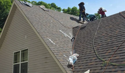 1 Roof Repair & Maintenance